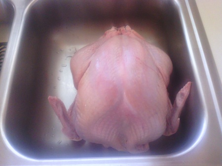uncooked turkey